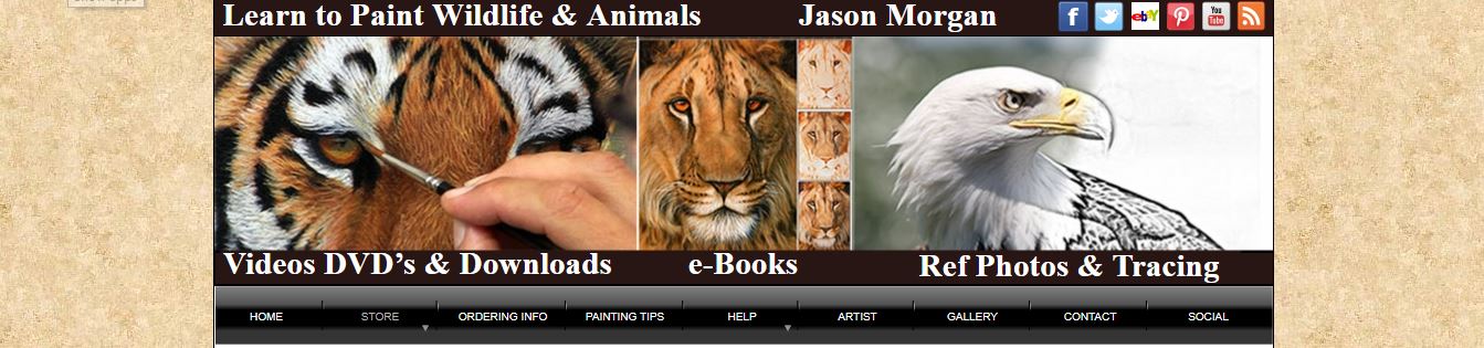 free reference photos for artists by Art is my career Jason Morgan’s Free Reference Photos for Artists